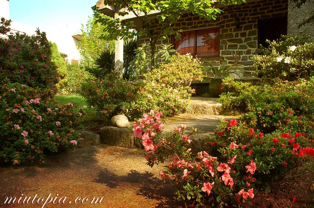 Jardim em Vale da Pata by Oscar Sanchez