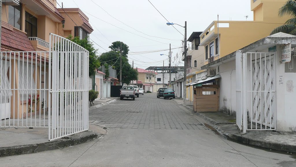 Calle en Samanes 6 by Vicente Riofrio Diaz