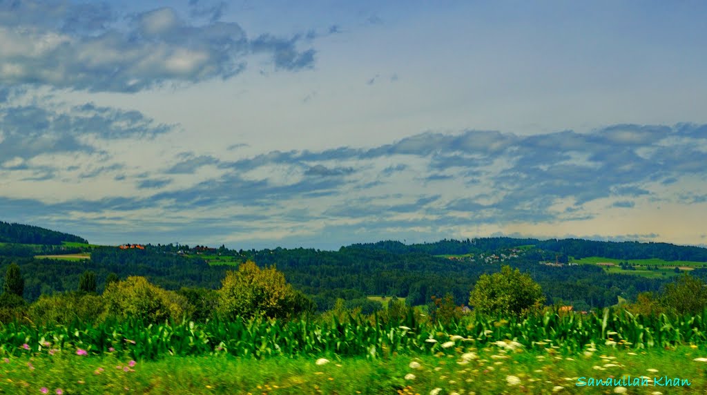 Near Maur (Greifensee) Uster Switzerland by sanaullah 