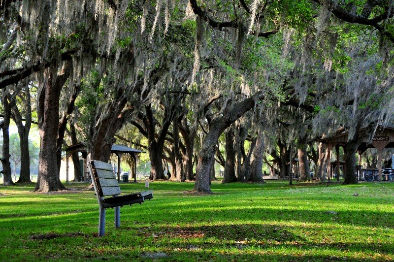 Bench at Park by longbachnguyen