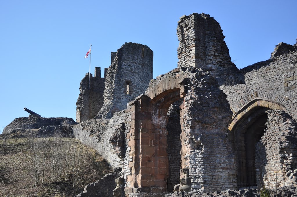 Dudley Castle by shakestd