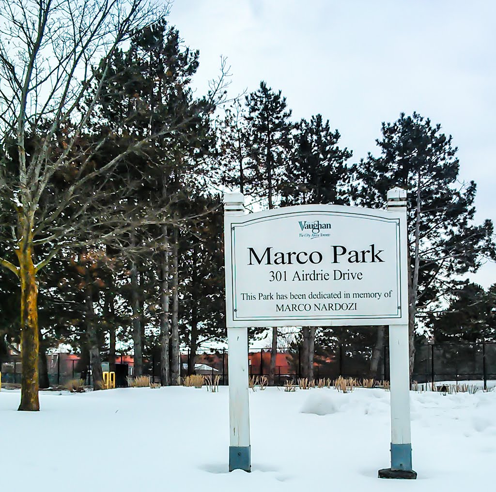 Marco Park by Andrew Gl.