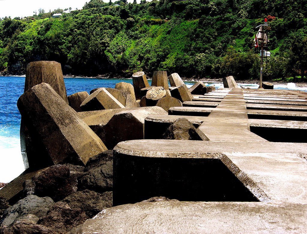 Tsunami Seawall Buttresses by Alvin-San©