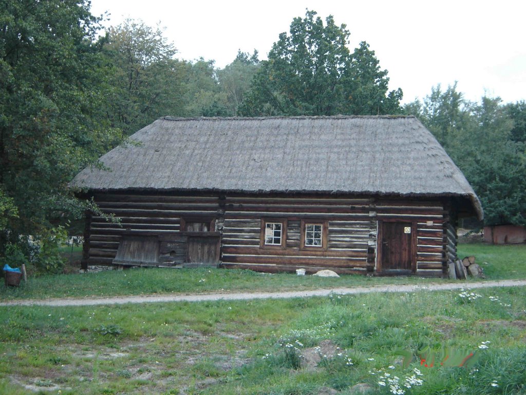 Skansen w Wygiełzowie by Maciej_z_Zagłębia