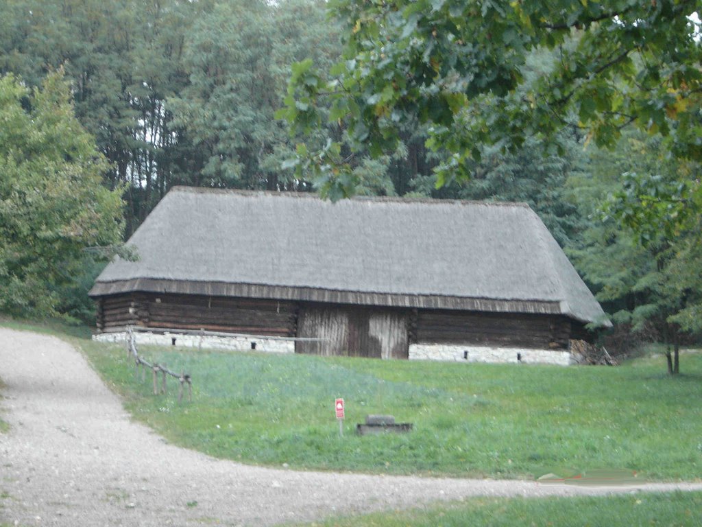 Skansen w Wygiełzowie by Maciej_z_Zagłębia