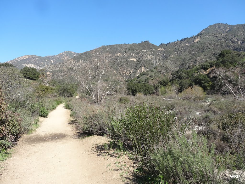 Eaton Canyon Falls Trail, Pasadena, CA by Welmon