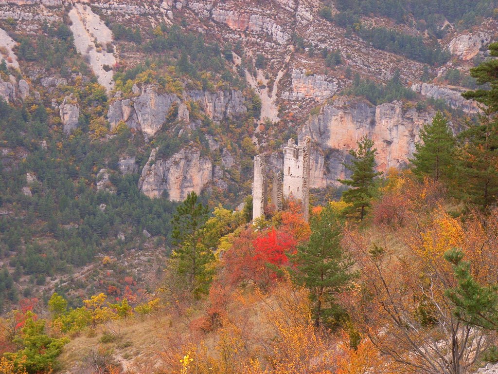 Oberhalb Hauterives- Gorges du Tarn by clgilles