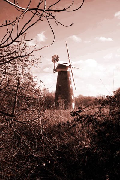 Billingford Mill from the Horseshoes by Strikerlight