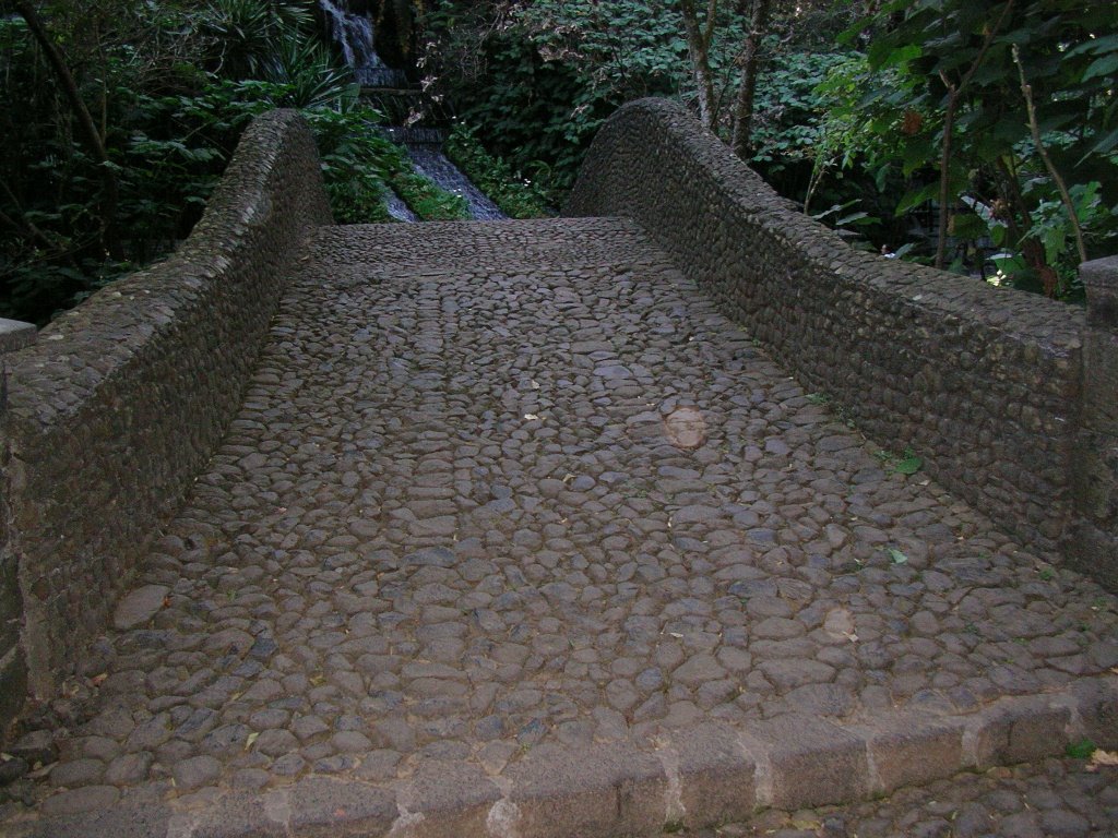 PUENTE DE PIEDRA EN EL PARQUE NACIONAL BARRANCA DEL CUPATITZIO by БУЛЛЬДОЗЗЕР