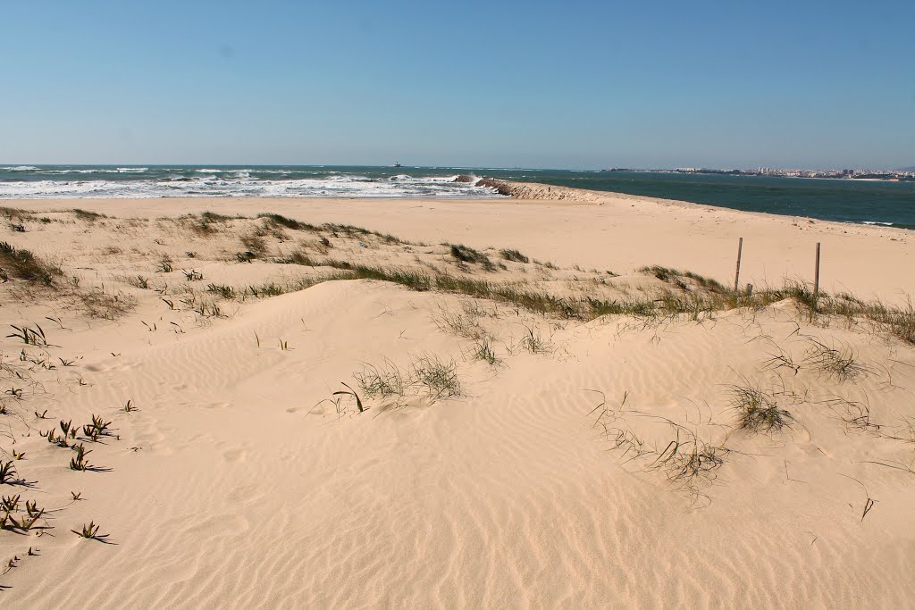 Foz do Tejo (Cova do Vapor, Trafaria) by Margarida Bico