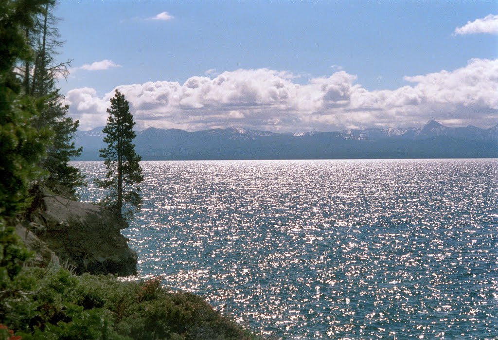 Yellowstone Nationalpark – Yellowstone Lake - Wyoming USA by Veit Rösler Alex