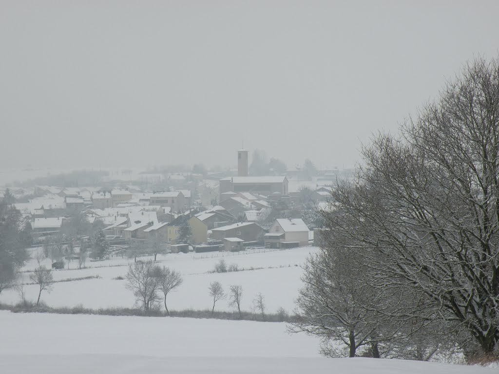 Roussy sous la neige by Rodo.IJ