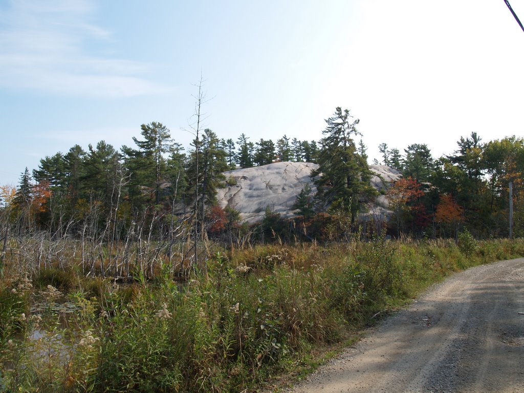 Smooth rock on Walser road just east of Whitefish Falls by fmmike