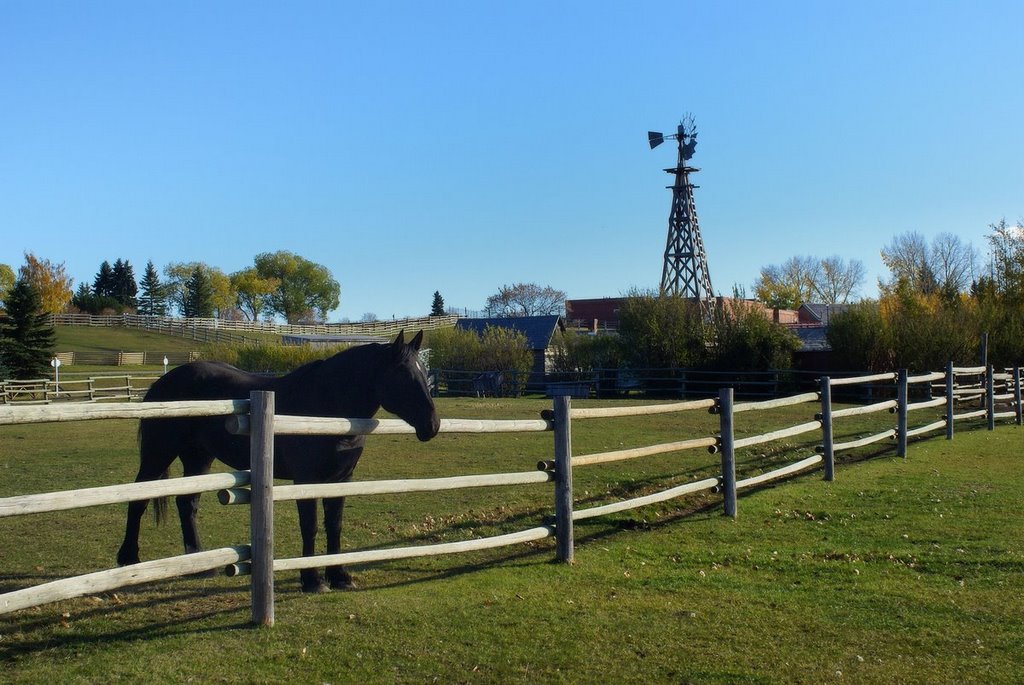 Heritage Park by Jacenty