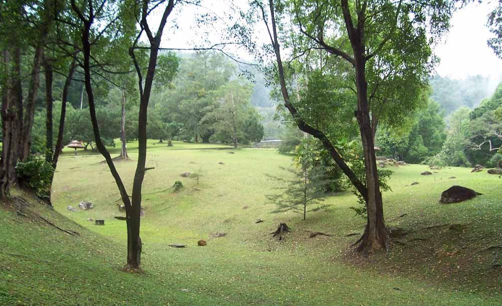 The lawn@Botanical Garden by A Syaharuddin K