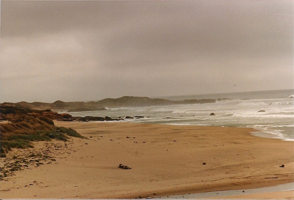 Monterey Bay Coastline by rutschke.jr