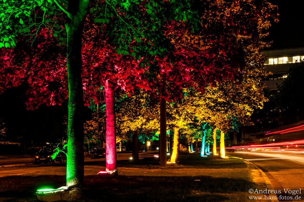 Lichtfest City Nord 2012 by ham-fotos