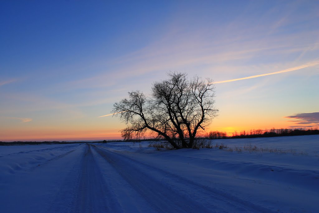 Winter on the Range Road. by Amandyg