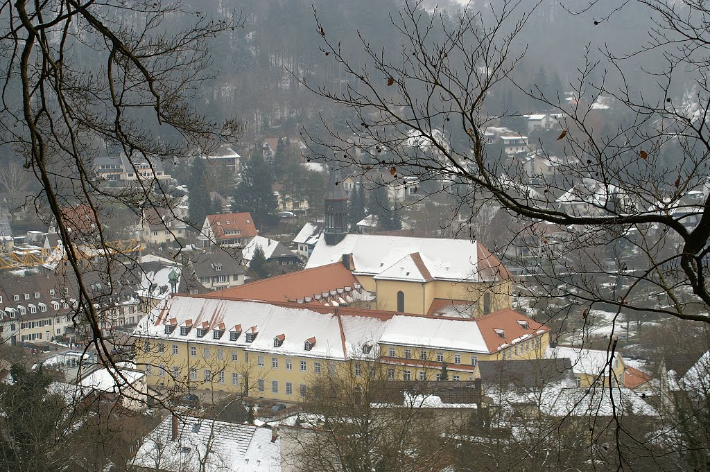 Günterstal, ehem, Kloster by Alfred Schneider