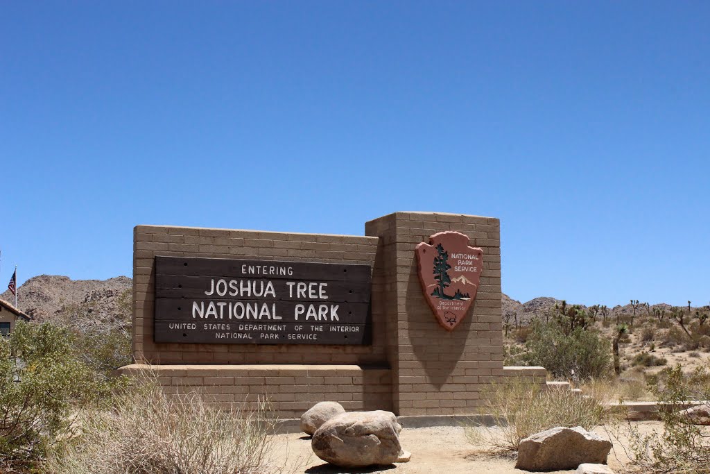 Joshua Tree NP by by niro