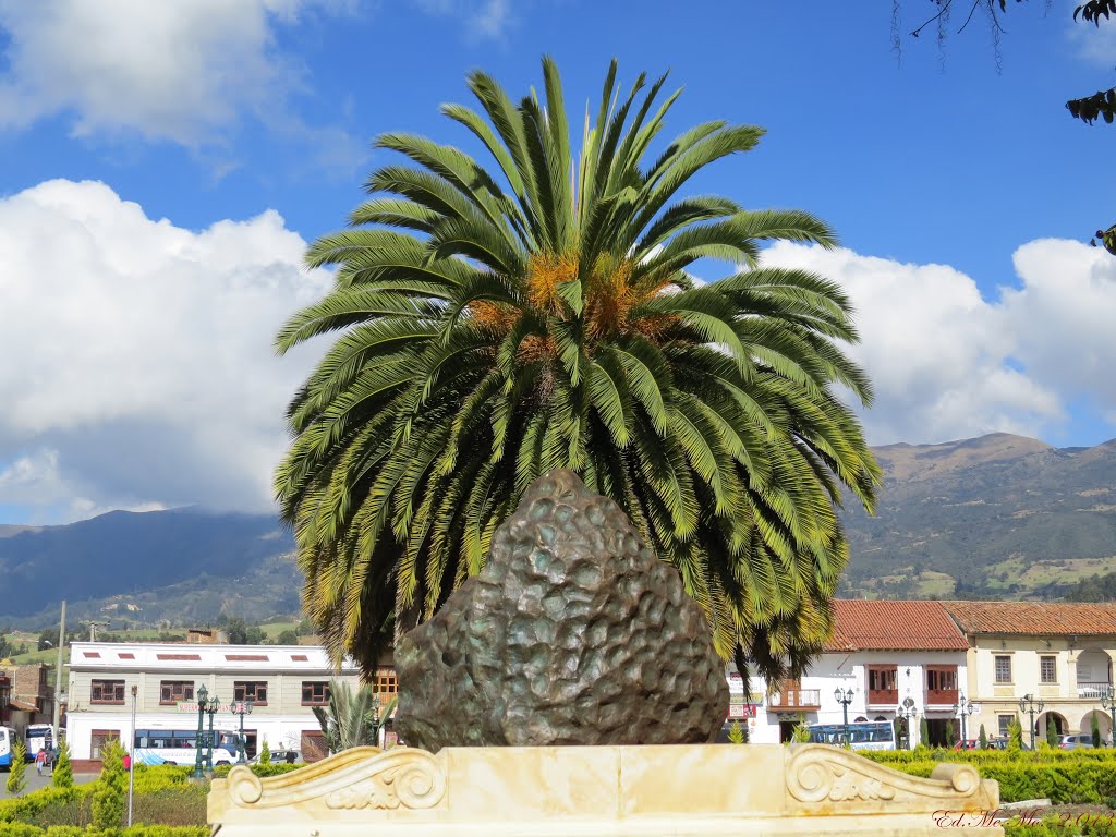 Aerolito de Santa Rosa de Viterbo - Boyacá - Colombia ! by Ed.Me.Mo.