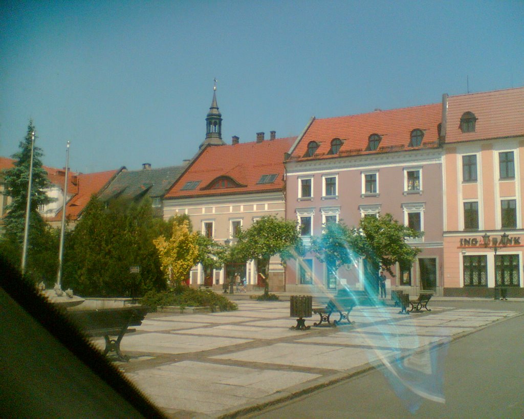 Siedziba ING Banku Śląskiego w Pszczynie by geo573