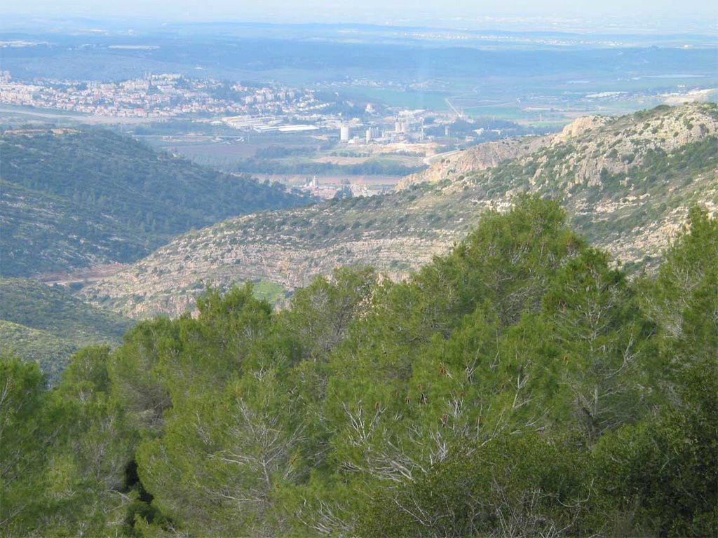 Beit Shemesh by Yannay