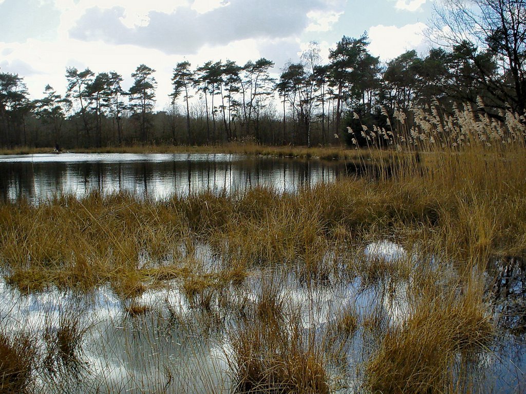 De Meer, Stiphoutse Bossen, Stiphout (Helmond) by uaf