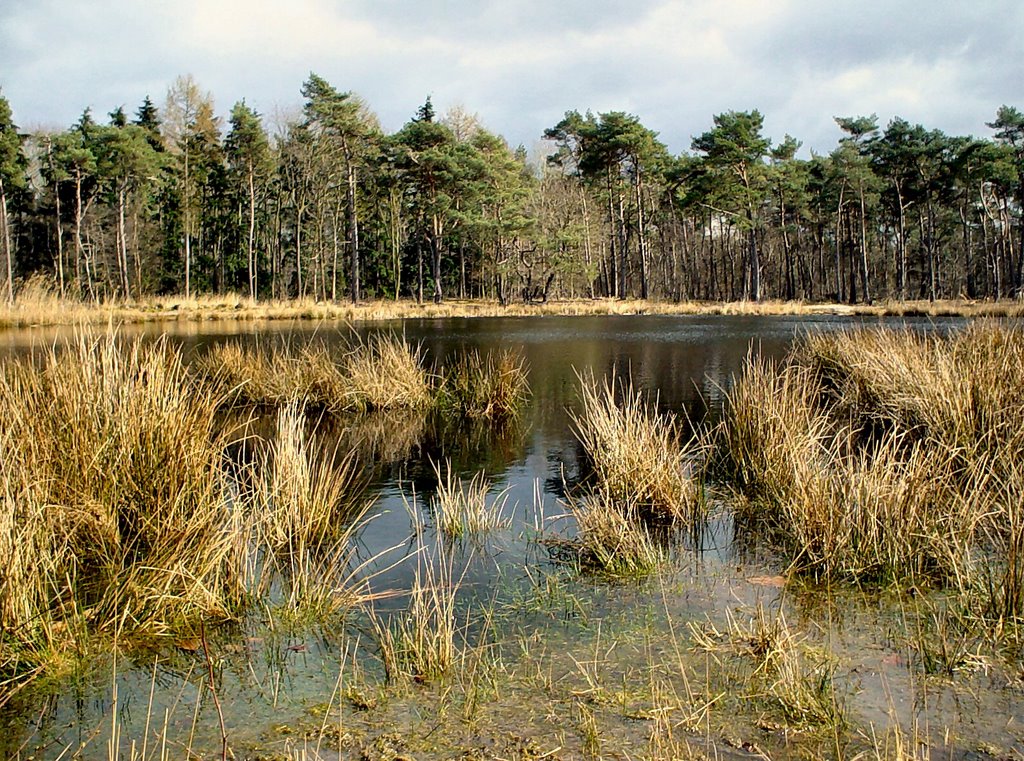 De Meer, Stiphoutse Bossen, Stiphout (Helmond) by uaf