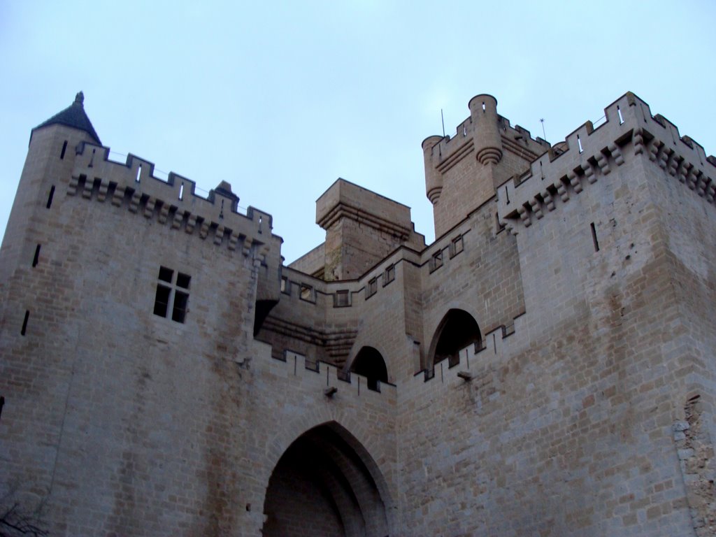 Castillo de Olite by Rafael Barrio Goñi