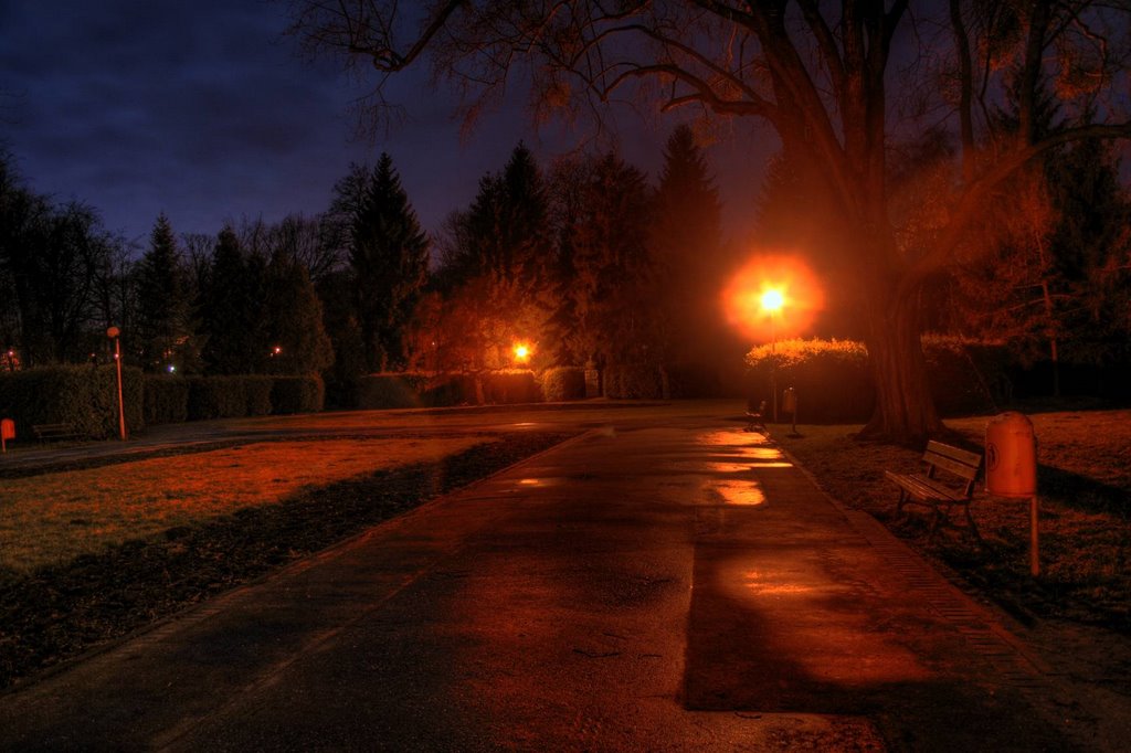 Piła nocą, Park Miejski by Artur Lech