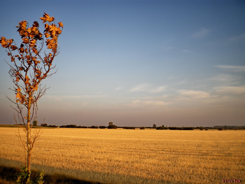 Castilla 100% (Camino Francés) by mrfanjul