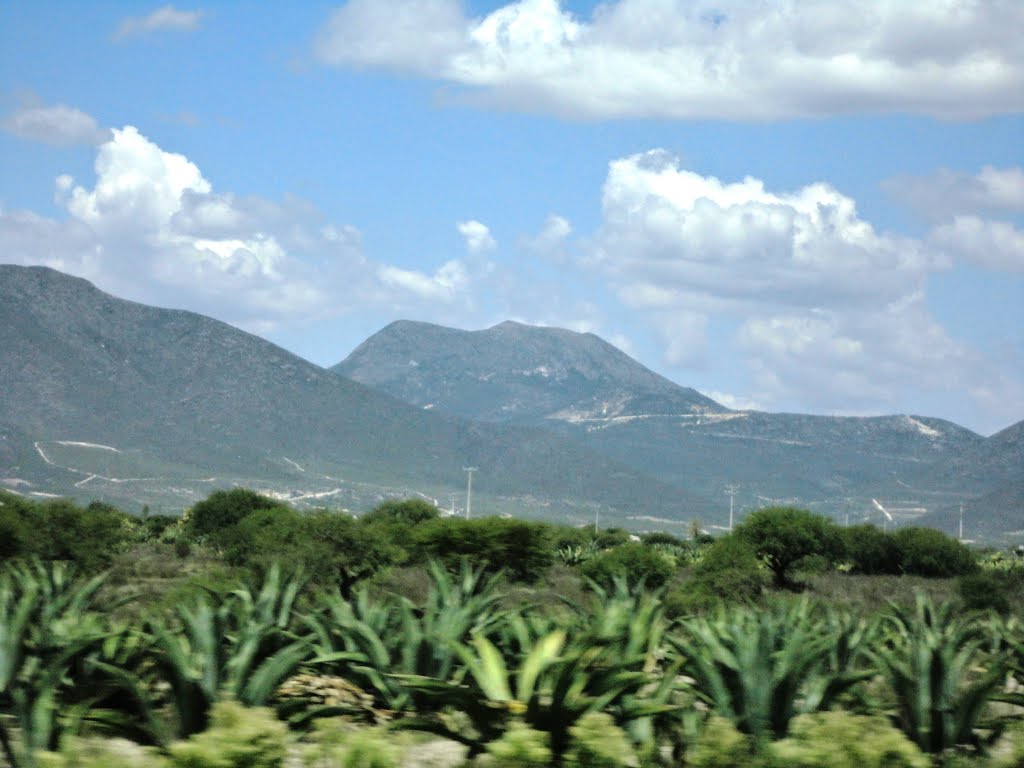 Oxangui (Cerro de la Nube), Santiago de Anaya. by Ángel Contreras G.