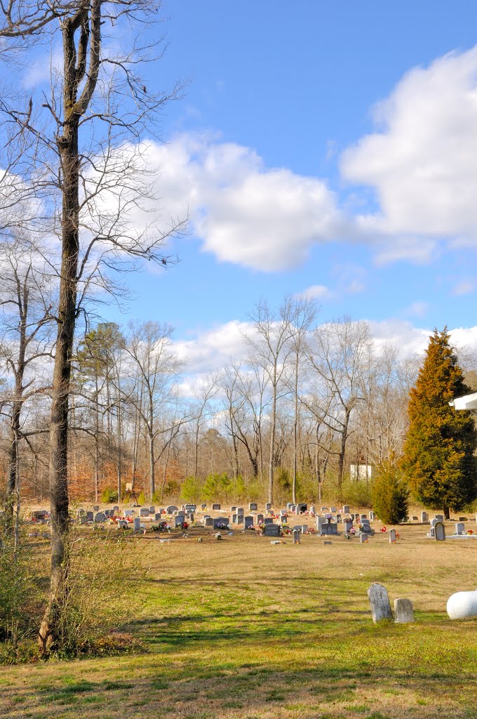 VIRGINIA: CHARLES CITY COUNTY: New Vine Baptist Church, 5100 John Tyler Memorial Highway (S.R. 5) cemetery behind church by Douglas W. Reynolds, Jr.