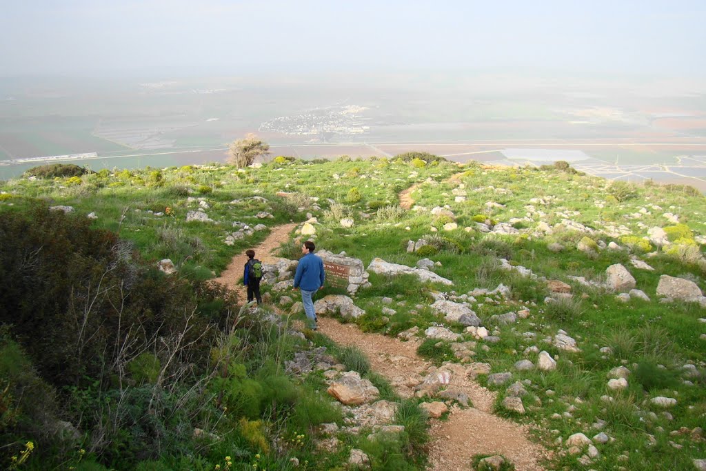 Israel. Gilbo'a Nature Reserve. Iris Trail by Igor Svobodin