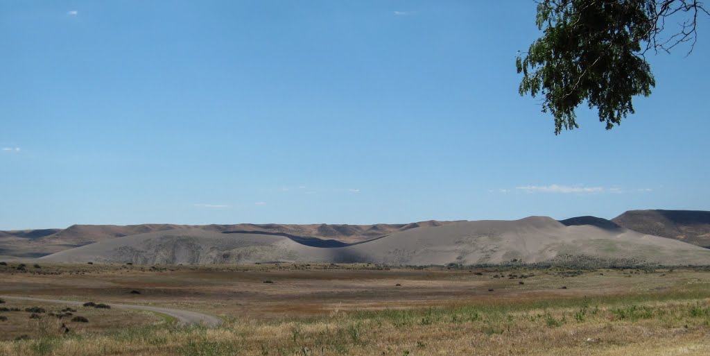 Bruneau Dunes State Park, ID (0685) by donbrr