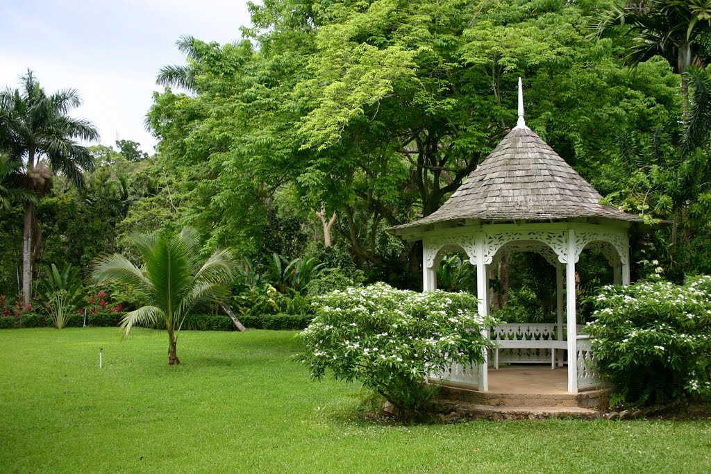 Shaw Park Garden & Waterfall, Saint Ann Parish, Middlesex County, Jamaica by Hans Sterkendries