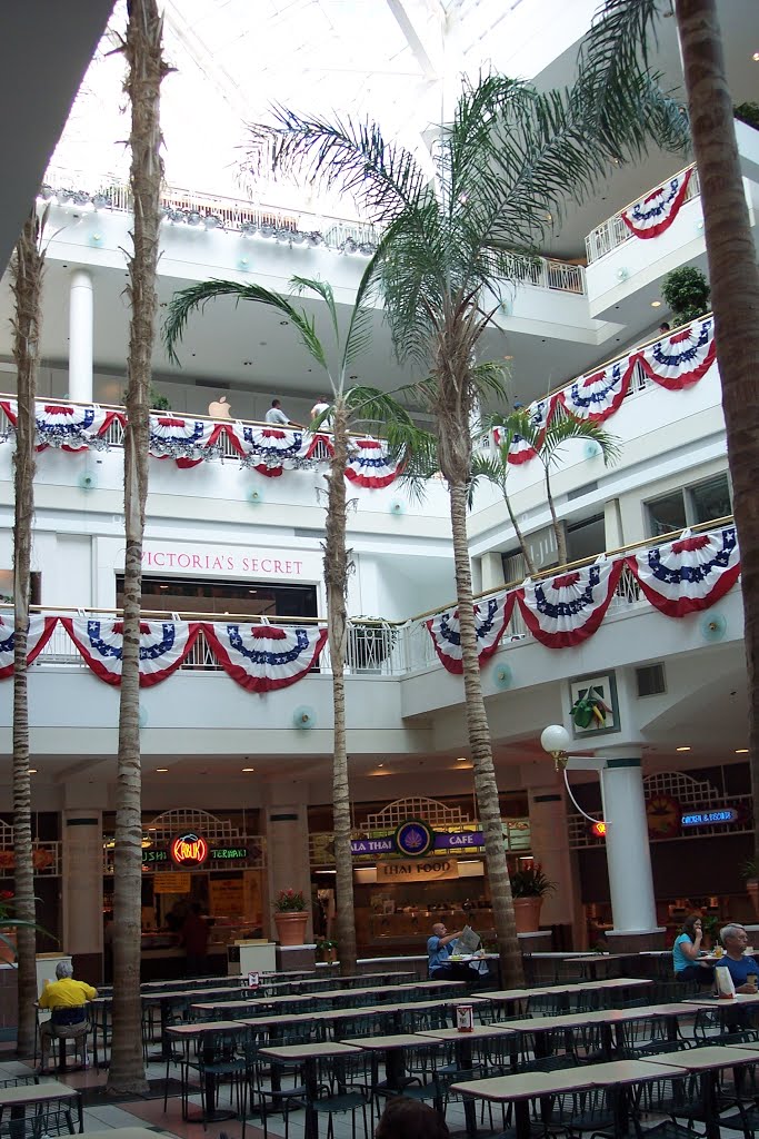 Arlington- Virginia- Pentagon City Mall- Pentagon City NBRHD by cheets99