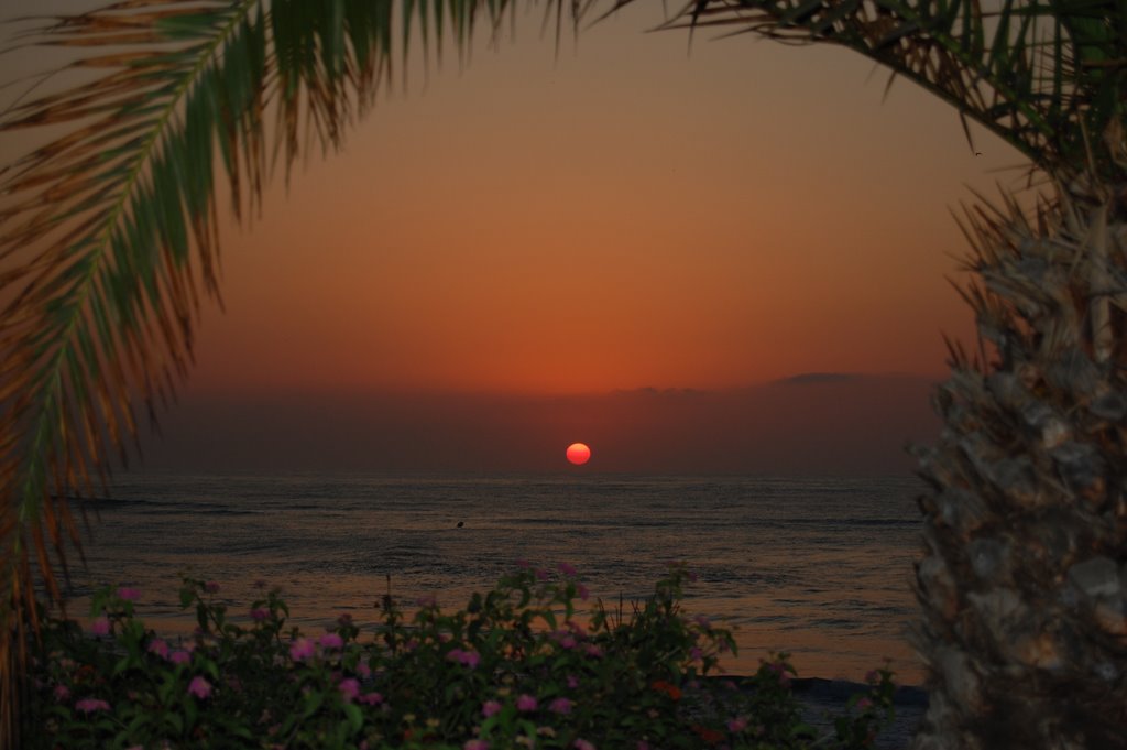 Sunrise through Palm Tree, Mil Palmeras by Pete74