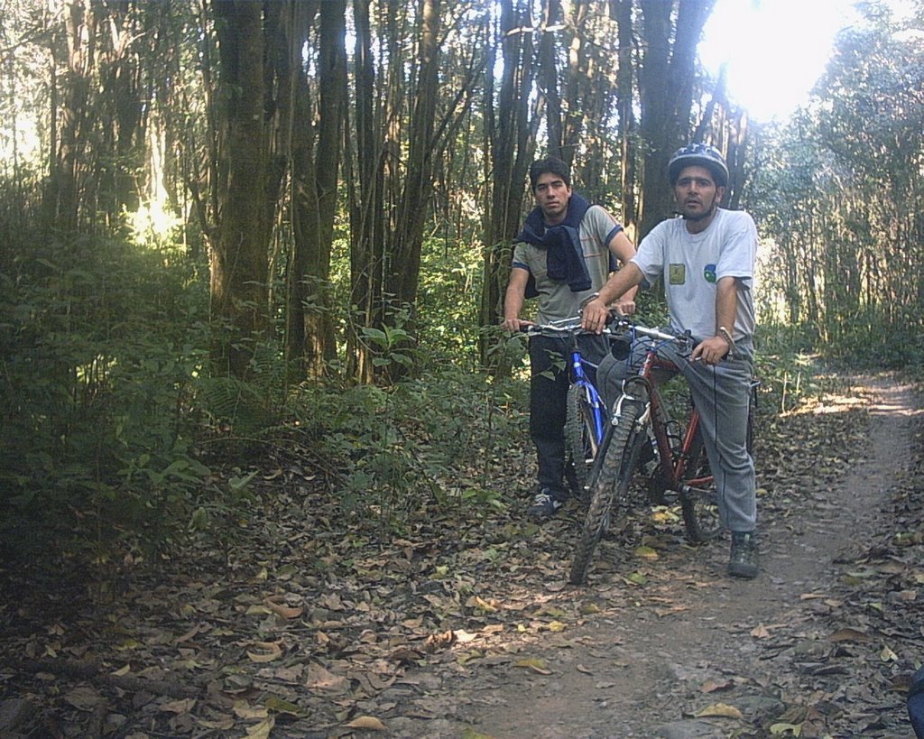 Conociendo el bosque de siempreverde en horco molle en el mes de Julio by Jose Luis Tisone