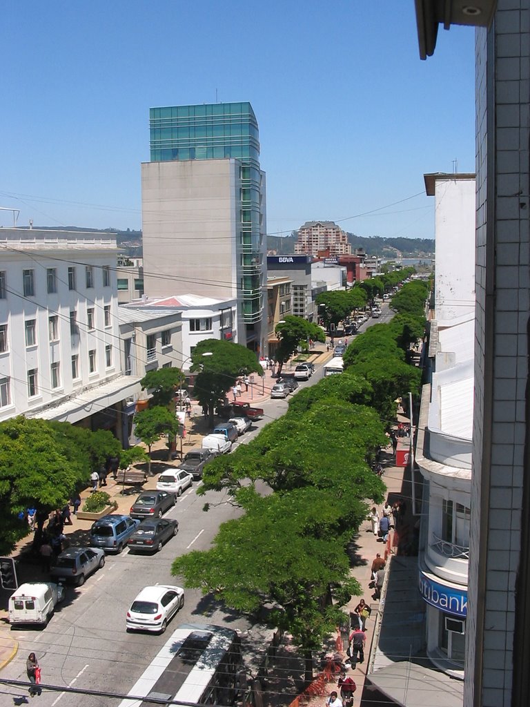 Avenida O´Higgins, al fondo el río Biobío by Nello Rolleri