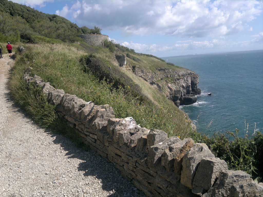 South West Coast Path - Swanage, Dorset, UK by Michael Boks