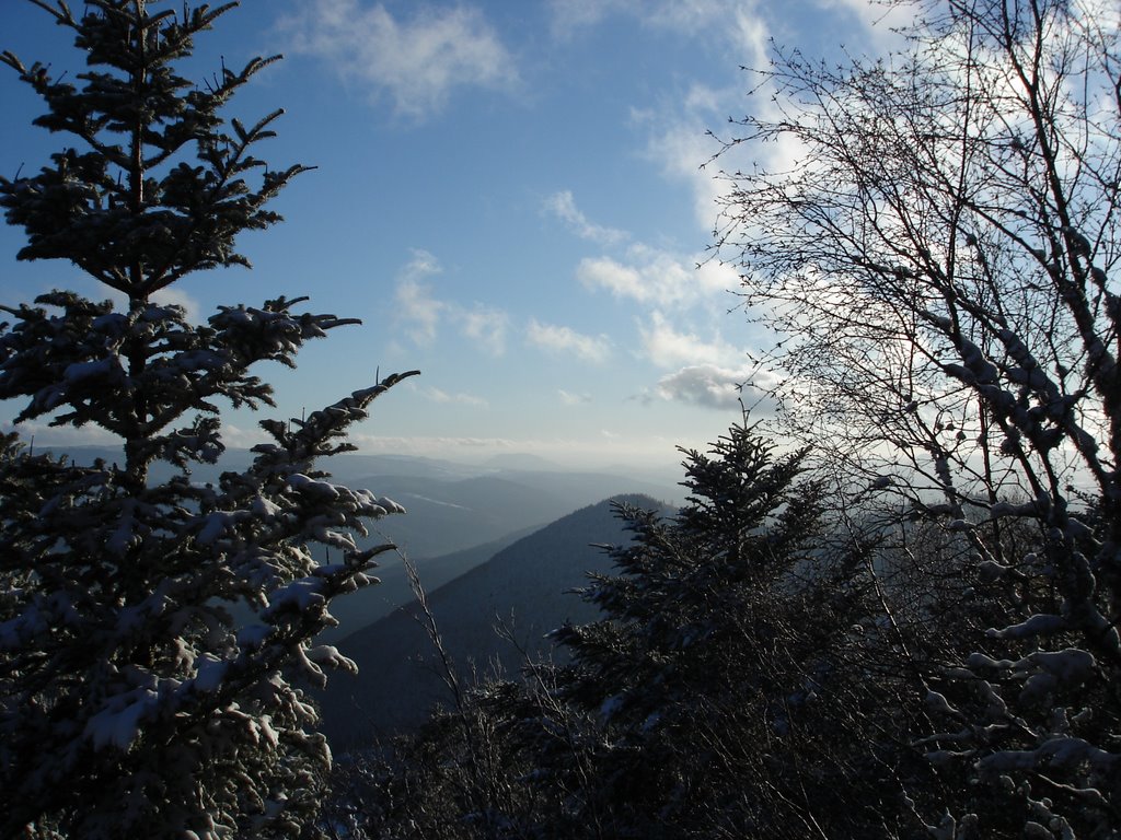 Vue de la Vallée de la Bruche depuis le Chateau Inconnu by grubmarc