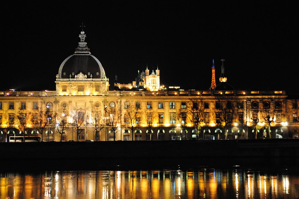 Pont de l'Université from the banks of the Rhône, Lyon, France by Oleksandra Korobova