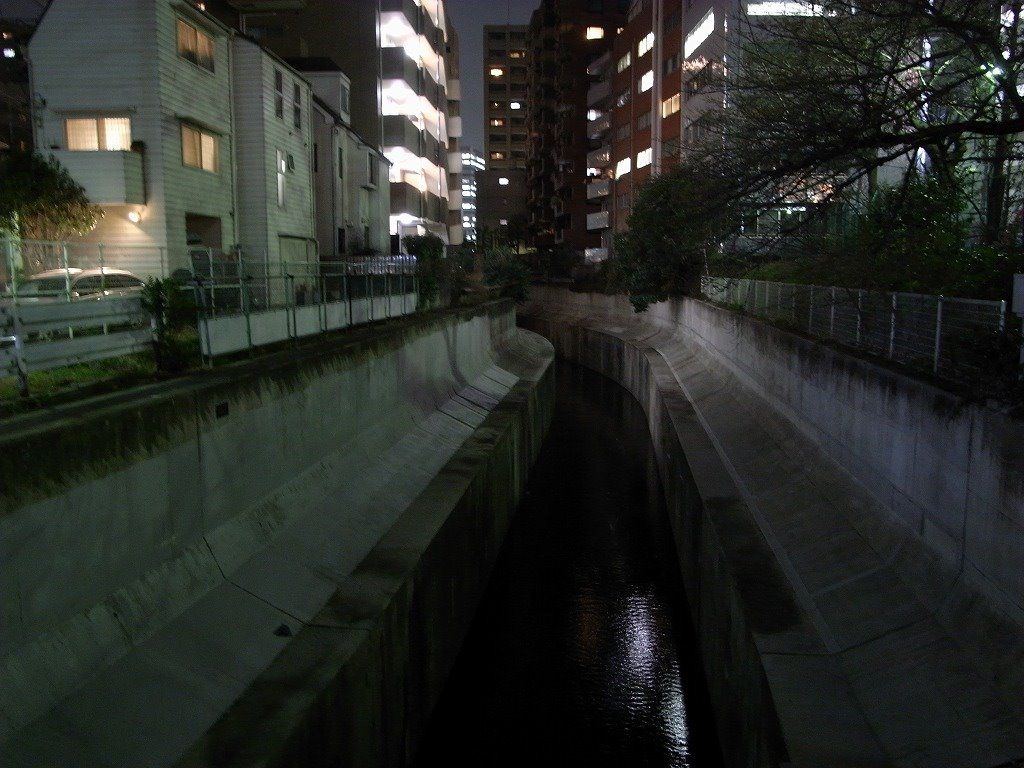 Hiroo shibuya river by noiraud