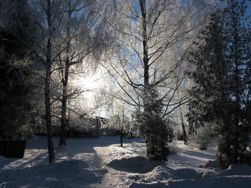 Зимняя сказка... Winter fairy tale... by Александр Ширипенко