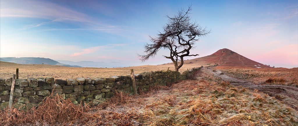 The Roseberry Larch by Yorkshire Sam