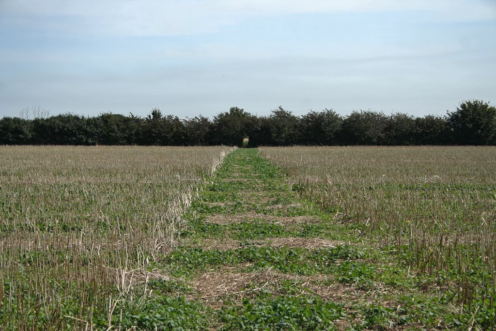 Public Footpath towards Blindmans Lane by Lee A Holmes