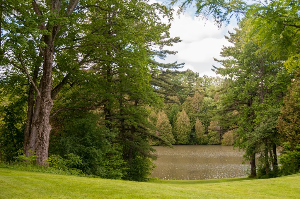 A view of a lake in the township of Welcome by Oleksandra Korobova