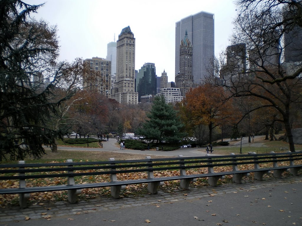 Central Park looking at 5th Ave 61st st by Gareth.Stadden